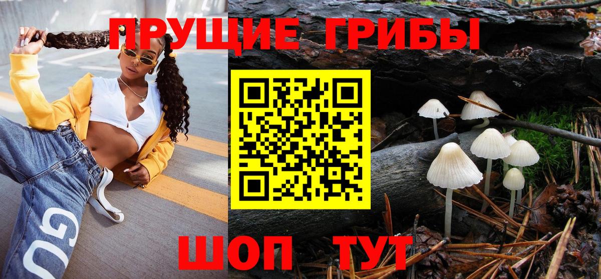 Галлюциногенные грибы MAGIC MUSHROOMS  закладки  Когалым  Вход с VPN 